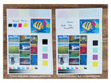 Ricoh SG2100/3110/SG7100 (GC41) Dye Sublimation Cartridges